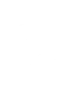 Data visualization​