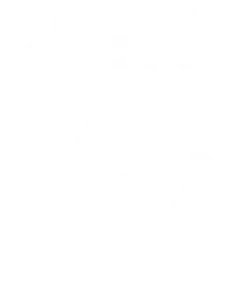 Standard and custom reports​