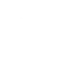 Data analytics and forecasting​